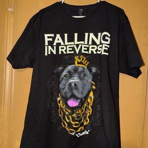 Falling In Reverse Band Graphic T Shirt Men’s Size Large Tultex Used Pre Owned L